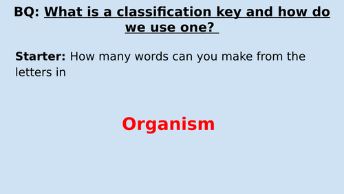 KS2 Classification - Using Classification keys
