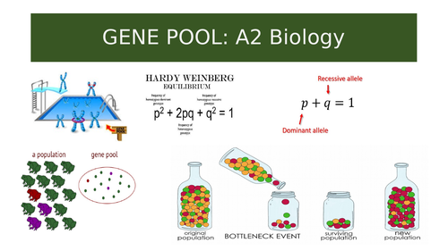 gene-pool-a2-biology-teaching-resources