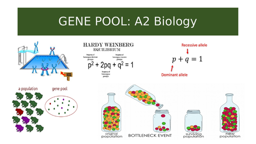 Gene Pool: A2 Biology