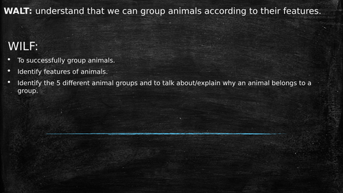 Classification of Animals