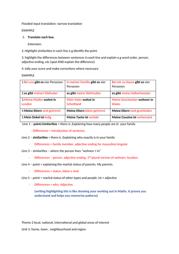 GCSE GERMAN Narrow translation flooded input Theme 2