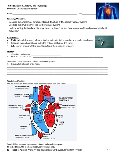 A-level PE Edexcel (spec 2016) Circulatory System Revision Lesson