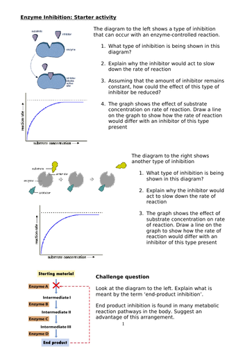 Respiration made simple PPT and booklet for A Level/IB