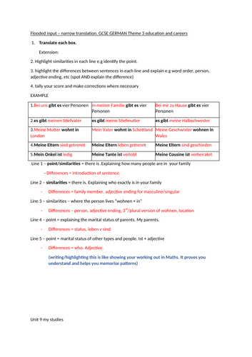 GCSE German narrow translation flooded input Theme 3