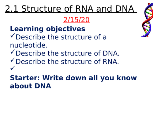 AQA AS Biology Section 1 Nucleic acids