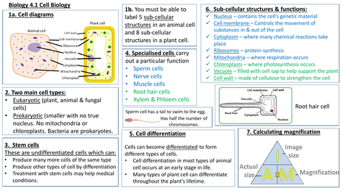 AQA KS4 Unit B4.1 Cell Biology Knowledge Organiser/ Revision Mat