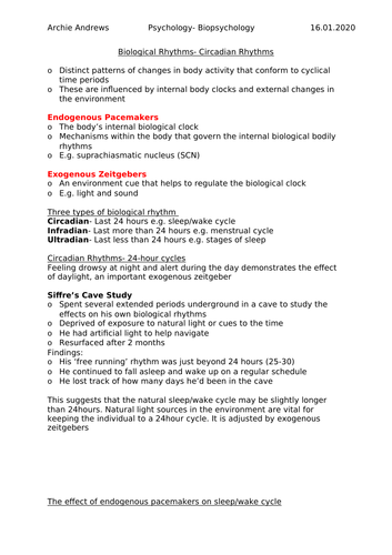 AQA A-level Psychology Biopsychology Revision Notes