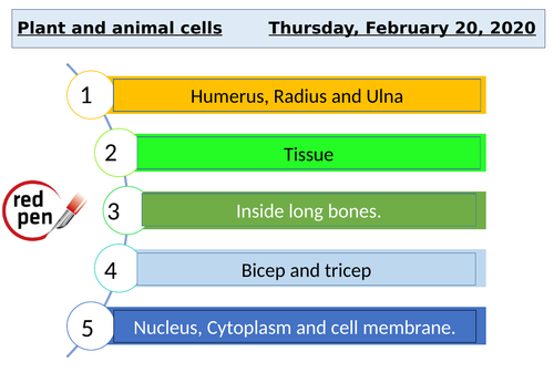 KS3 Science Cells