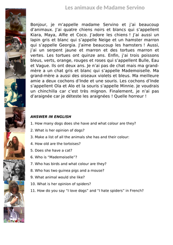 les animaux reading comprehension