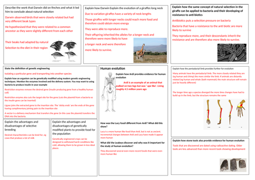 GCSE Biology topic 4 revision mat Natural Selection and Genetic modification Edexcel
