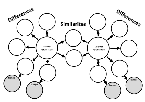 Internal and External Fertilisation Worksheet