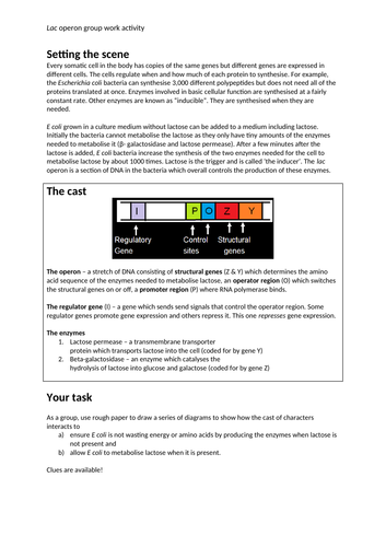 lac operon group work activity
