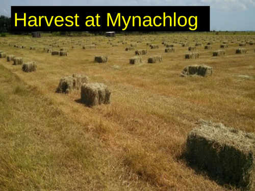 WJEC GCSE poetry 2021 - 'Harvest at Mynachlog' by Gillian Clarke