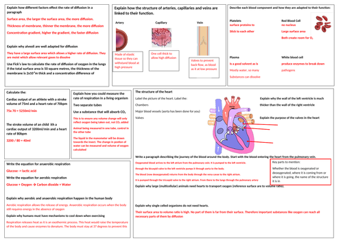 GCSE Biology topic 8 revision mat Exchange and transport in Animals