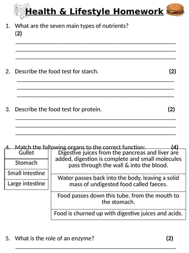 ks3 year 8 health lifestyle homework teaching resources