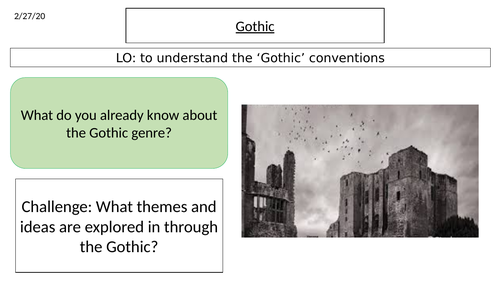 Introducing the Gothic