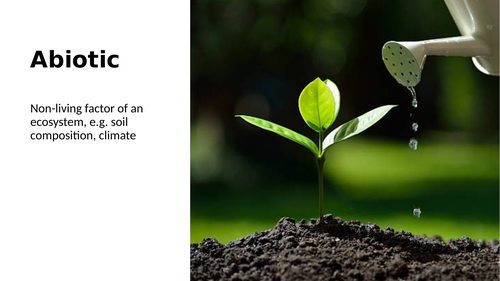 AQA Entry Level Certificate Science 2016 - B2 Environment, Evolution Etc. Key Words Visual Pack