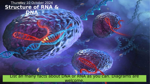 2.1 Structure of RNA & DNA