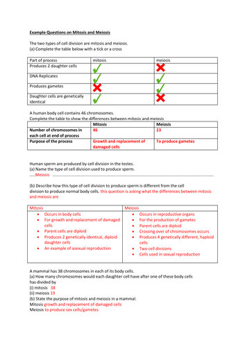 New GCSE Revision Sheets on Mitosis and Meiosis