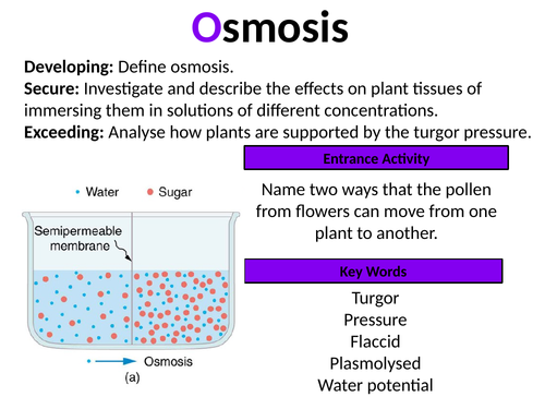 Diffusion, Osmosis, Active transport (3 Lessons) Teaching Resources