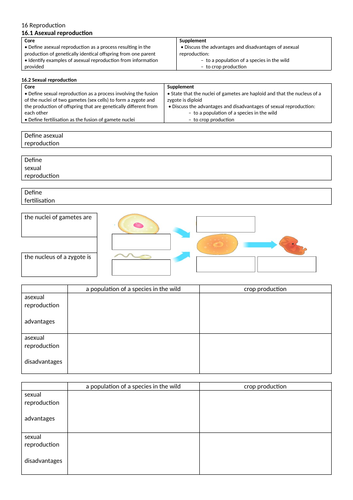 Revision Workbook For Reproduction Cambridge Igcse Biology 0610 Teaching Resources 8501