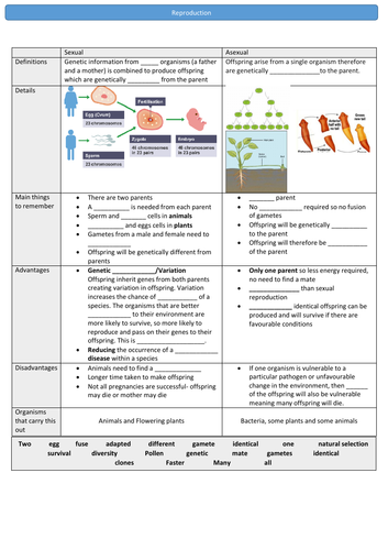 GCSE 9-1  Sexual and asexual reproduction, selective breeding, cloning and genetic engineering
