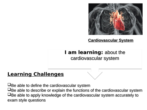 Physical Education Lesson Plans: KS3, KS4, GCSE Teaching Resources ǀ Tes