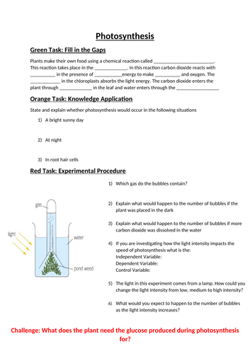 Photosynthesis Worksheet