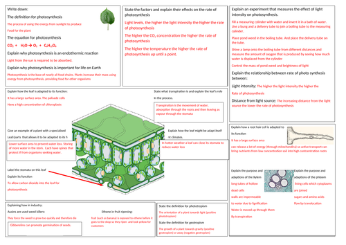 GCSE Biology topic 6 Revision mat -Plant structures and their functions