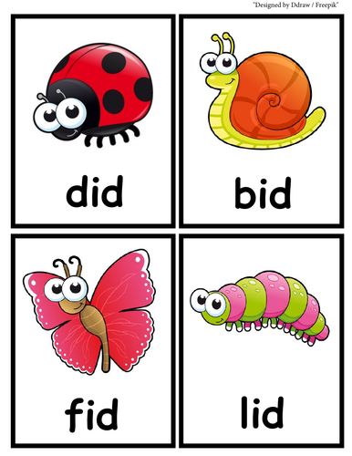 Short -i- sorting game (Insects) | Teaching Resources