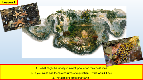 'Cornish Limpet' poem