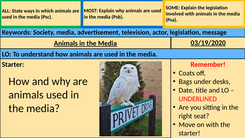 Animals in the Media (BTEC)