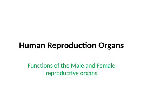 Functions of the Penis & Vagina