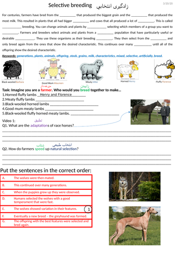 Farsi Science Selective breeding