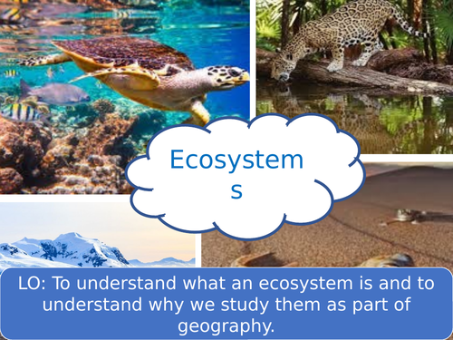 Ecosystems and the Living World
