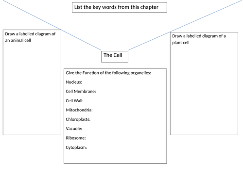 The Cell & Microscope