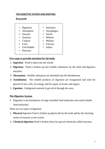 The Digestive System