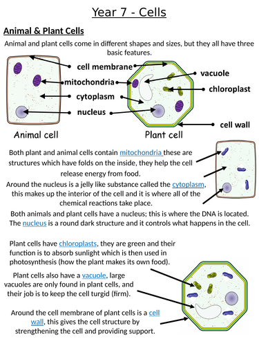 Home Learning Pack ~ KS3 ~ Year 7 ~ Cells