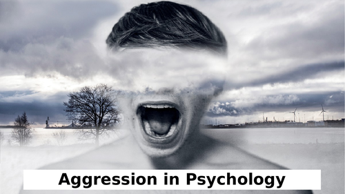 AQA A-level Psychology - Paper 3 Aggression