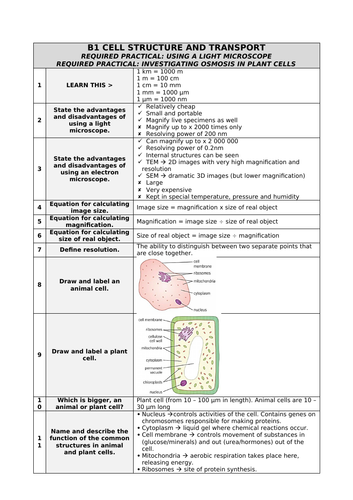 AQA Biology Paper 1 Q&A