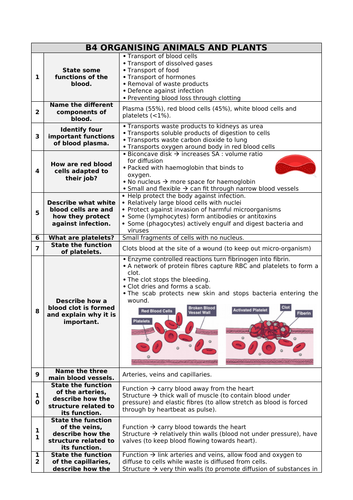 AQA Biology and Chemistry Q&A (sample)
