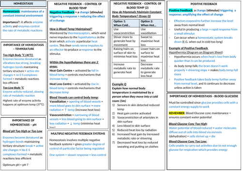 AQA A-LEVEL BIOLOGY - Homeostasis Revision | Teaching Resources