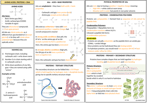AQA A-LEVEL CHEMISTRY - Amino Acids, Proteins & DNA Revision
