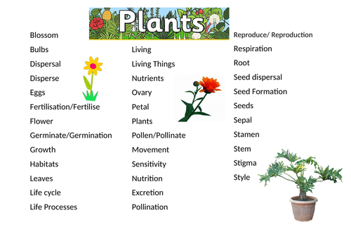 KS2 Plants Word Mat