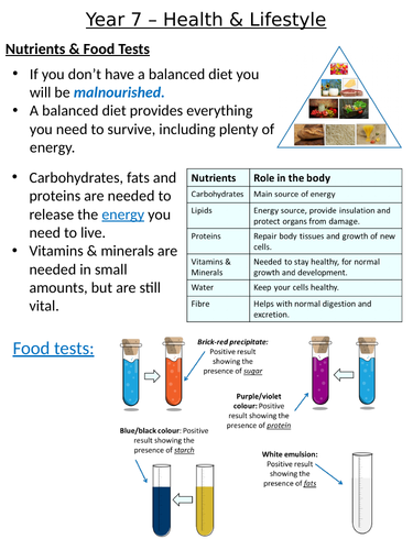 Home Learning Pack ~ KS3 ~ Year 8 ~ Health & Lifestyle