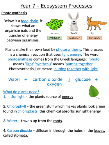 Home Learning Pack ~ KS3 ~ Year 8 ~ Ecosystem Processes