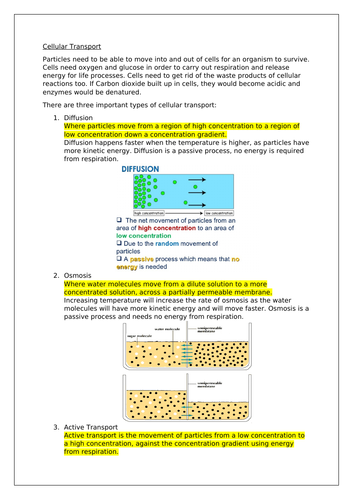 An overview of cellular transport