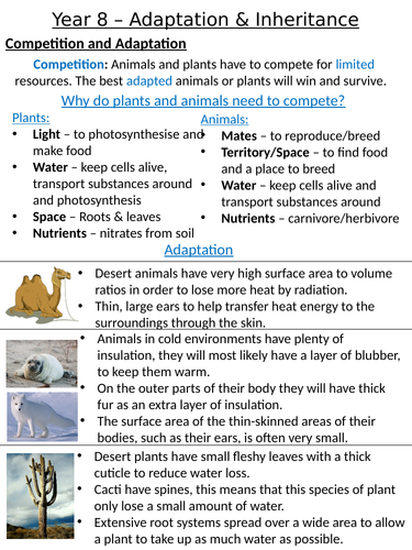 Home Learning Pack ~ KS3 ~ Year 8 ~ Adaptation & Inheritance