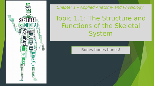 Structure & Function of Skeletal System