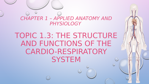 Cardio-Respiratory System